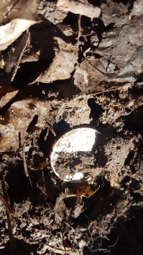 My-First-Big-Silver-Coin!